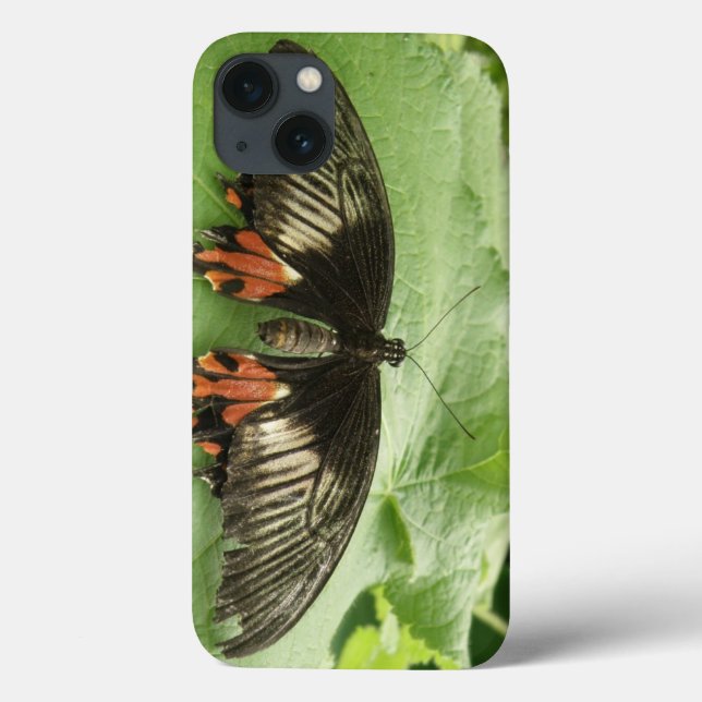 Söt Black Red och Guld Butterfly iPad Mini Case (Baksida)