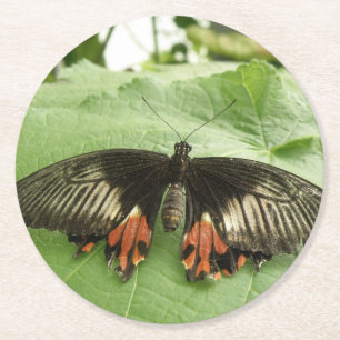 Söt Black Red och Guld Butterfly Papper Underlägg Rund