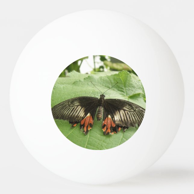 Söt Black Red och Guld Butterfly Ping Pong Boll (Framsidan)