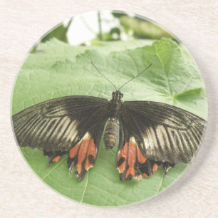 Söt Black Red och Guld Butterfly Underlägg