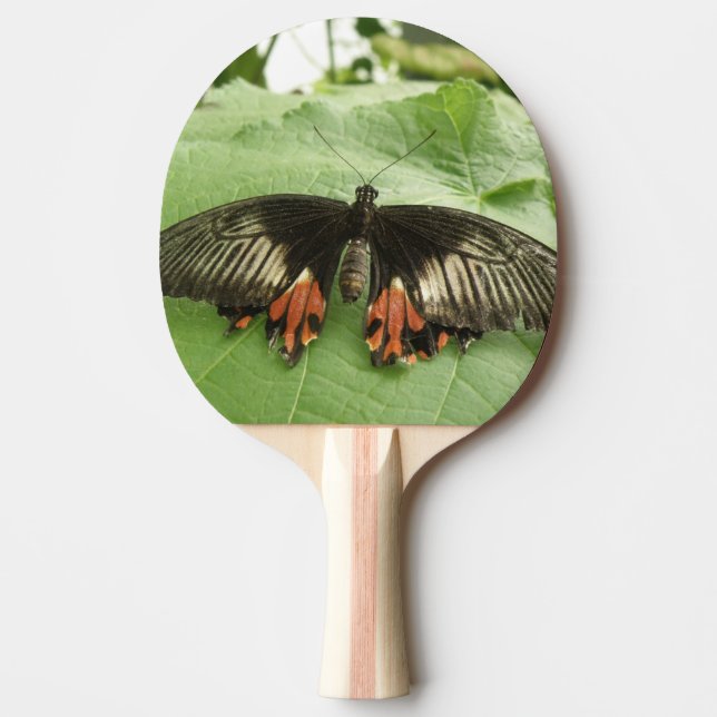 Söt Black Red och Guld Buttetrfly Ping Pong Pingisracket (Framsidan)