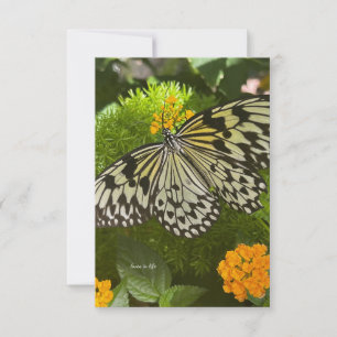 Söt Black & White Butterfly Anteckningskort