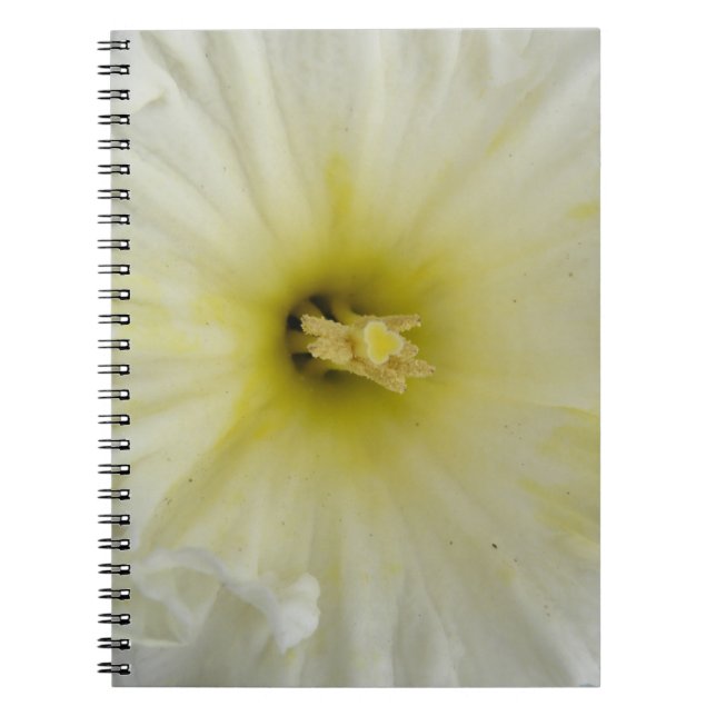 Söt Blek Daffodil bärbar dator Anteckningsbok (Framsidan)