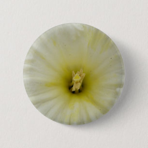 Söt Blek Daffodil Button Knapp
