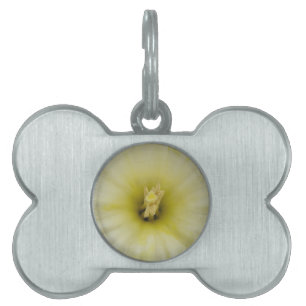 Söt Blek Daffodil Pet Tag Namnbricka Husdjur