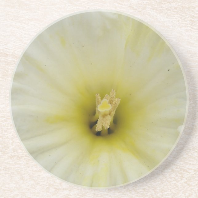 Söt Blek Daffodil Underlägg Sandsten (Framsidan)