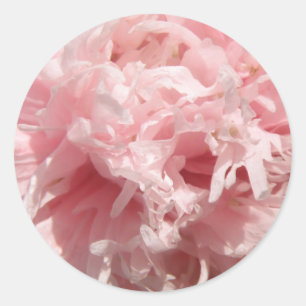 Söt Blek Rosa Poppy Stickers Runt Klistermärke