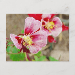 Söt blomma 2 vykort