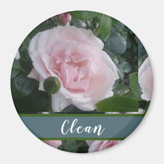 Söt Blommigt Rosa ros Magnet