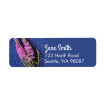 Söt Blommigt Veronica Speedwell om nitting