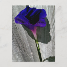 Söt Blommigt vykort