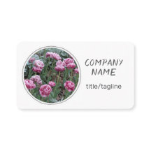 söt blommor rosa tulpaner på vita