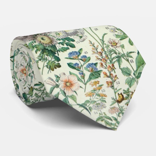 Söt blomsterbotanisk teckning av Adolphe Millot Slips (Rullad)