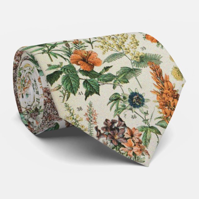 Söt blomsterbotanisk teckning av Adolphe Millot Slips (Rullad)