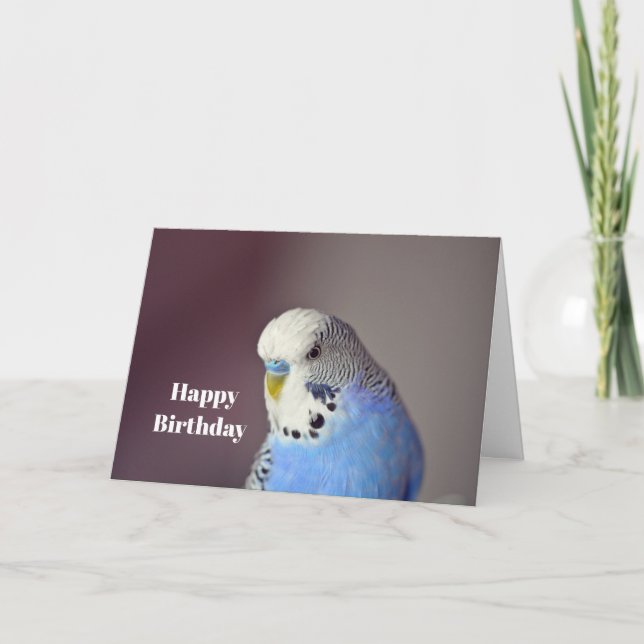 Söt Blue Budgie Photo Birthday Card Kort (Framsida)