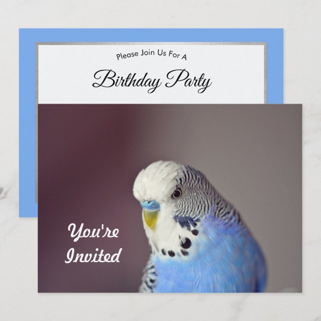 Söt Blue Budgie Photo Birthday-inbjudan Inbjudningar (Fram/baksida)