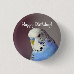 Söt Blue Budgie Photo Birthday Knapp