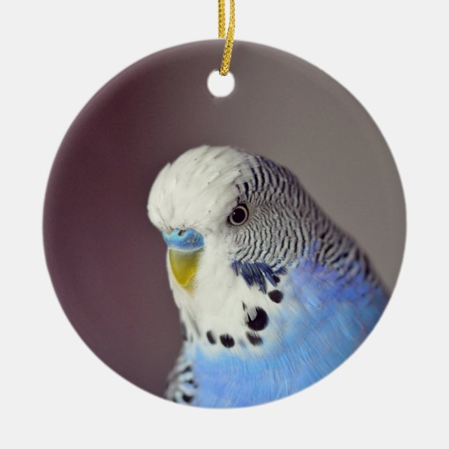Söt Blue Budgie Photo Ceramic Ornament (Framsidan)