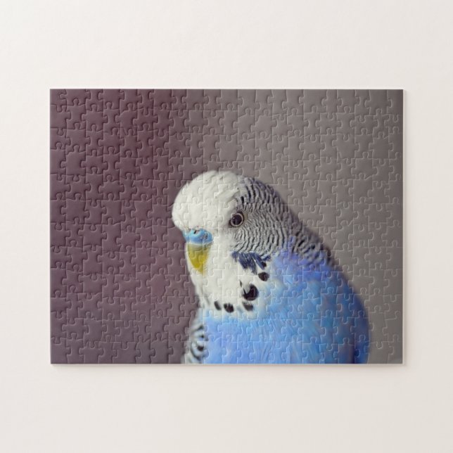 Söt Blue Budgie Photo Jigszle Puzzle Pussel (Horisontell)