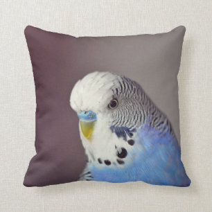 Söt Blue Budgie Photo Kudde