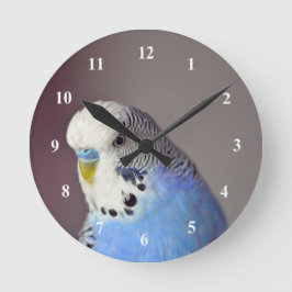 Söt Blue Budgie Photo Rund Klocka