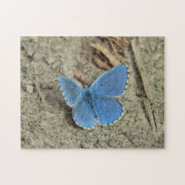 Söt Blue Butterfly Photo Pussel