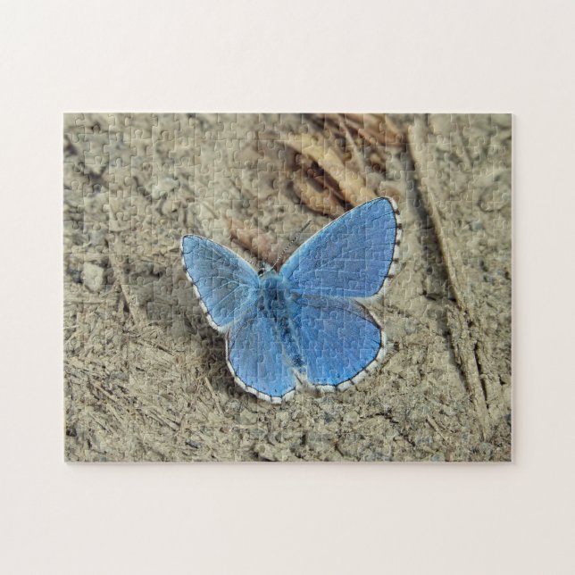 Söt Blue Butterfly Photo Pussel (Horisontell)