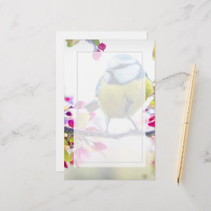 Söt Blue & Gult Bird på ett foto av Gren