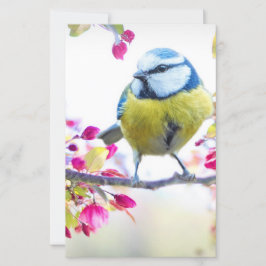 Söt Blue & Gult Bird på ett foto av Gren