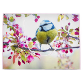 Söt Blue & Gult Bird på ett foto av Gren
