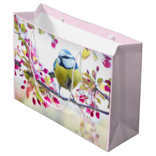 Söt Blue & Gult Bird på ett foto av Gren