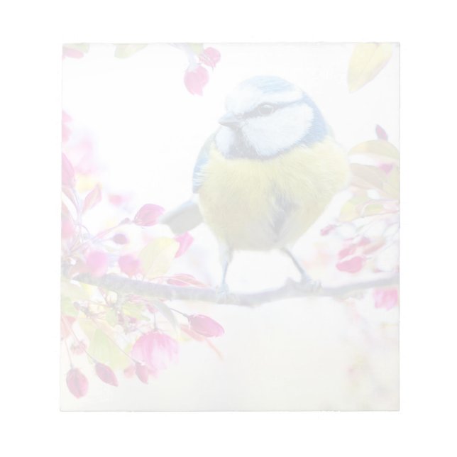 Söt Blue & Gult Bird på ett foto av Gren Anteckningsblock (Framsida)