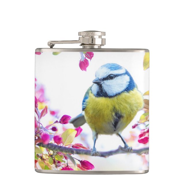 Söt Blue & Gult Bird på ett foto av Gren Fickplunta (Framsidan)