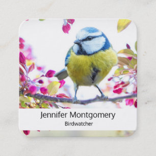 Söt Blue & Gult Bird på ett foto av Gren Fyrkantigt Visitkort