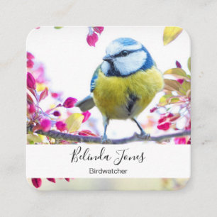 Söt Blue & Gult Bird på ett foto av Gren Fyrkantigt Visitkort