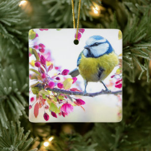 Söt Blue & Gult Bird på ett foto av Gren Julgransprydnad Keramik
