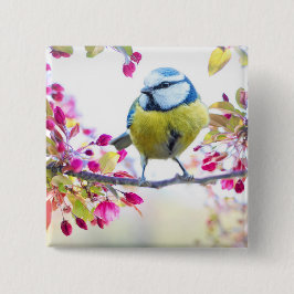 Söt Blue & Gult Bird på ett foto av Gren Knapp