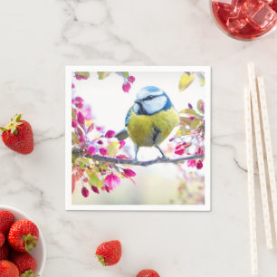 Söt Blue & Gult Bird på ett foto av Gren Pappersservett