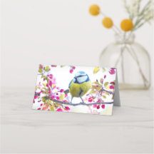 Söt Blue & Gult Bird på ett foto av Gren