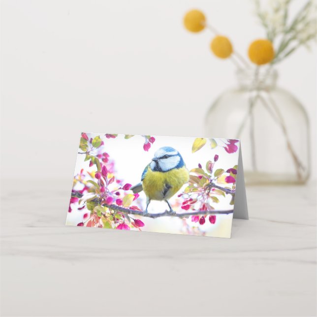 Söt Blue & Gult Bird på ett foto av Gren Placeringskort (Framsida)