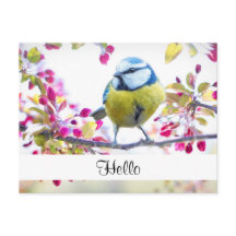 Söt Blue & Gult Bird på Gren Hej