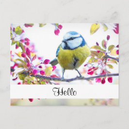 Söt Blue & Gult Bird på Gren Hej Vykort