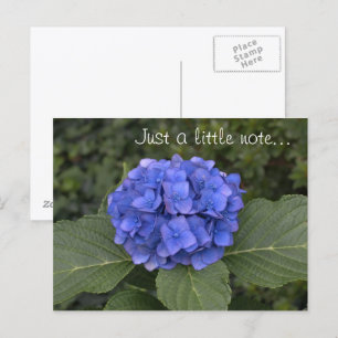 Söt Blue Hydrangea Vykort
