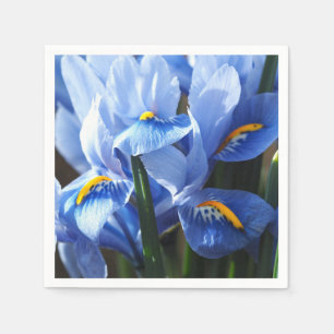 Söt blue iris napkin pappersservett