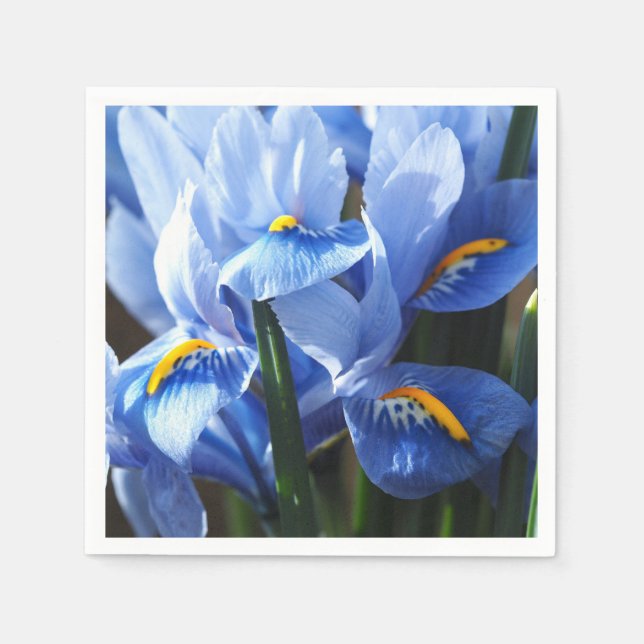 Söt blue iris napkin pappersservett (Framsidan)