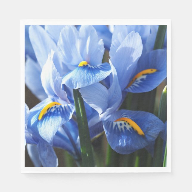 Söt blue iris napkin pappersservett (Framsidan)