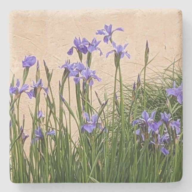 Söt Blue Irises Blommigt Stenunderlägg (Framsidan)