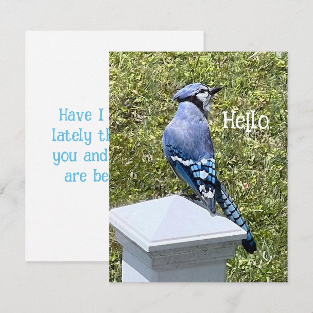 Söt Blue Jay Bird Anpassningsbar Greeting Card (Fram/baksida)