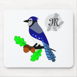 Söt Blue Jay Bird Musmatta