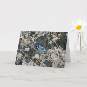 Söt Blue Jay i Fall Art Note Card Kort